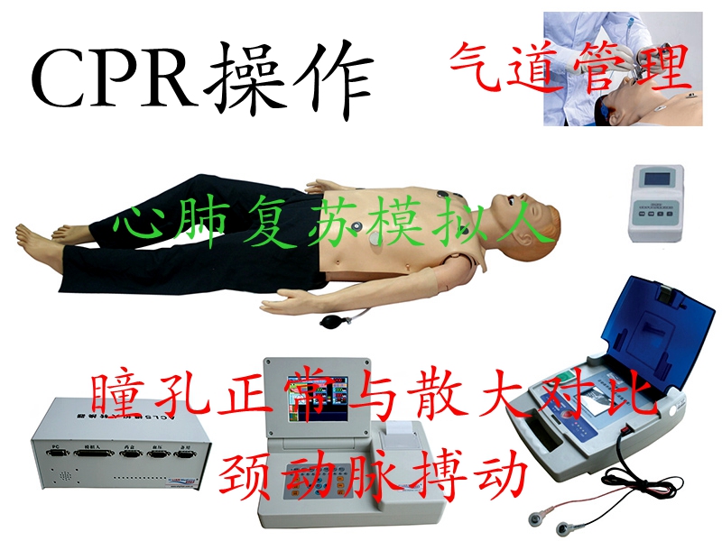 心肺復蘇模擬人