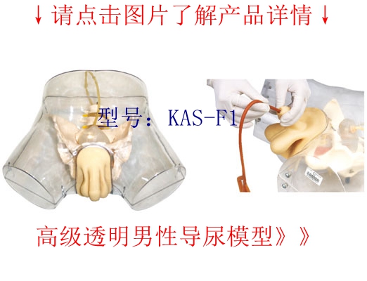 醫學教學模型
