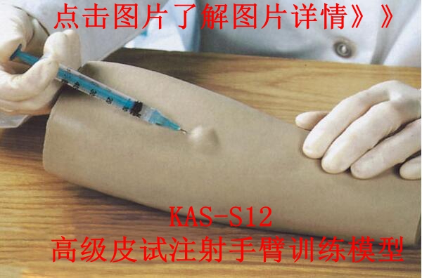 高級(jí)皮試注射手臂模型