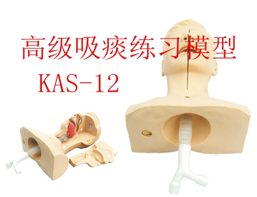 高級吸痰練習模型