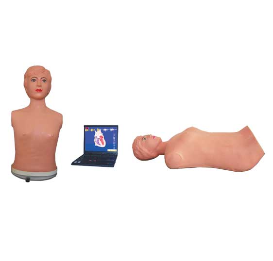 oW(wng)j(lu)ýwظžWϵy(tng)(̎C)